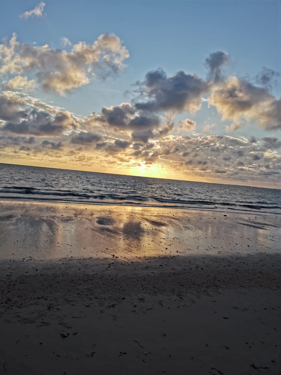 4f4b44ac-0f15-4d87-80db-9d93aa166102