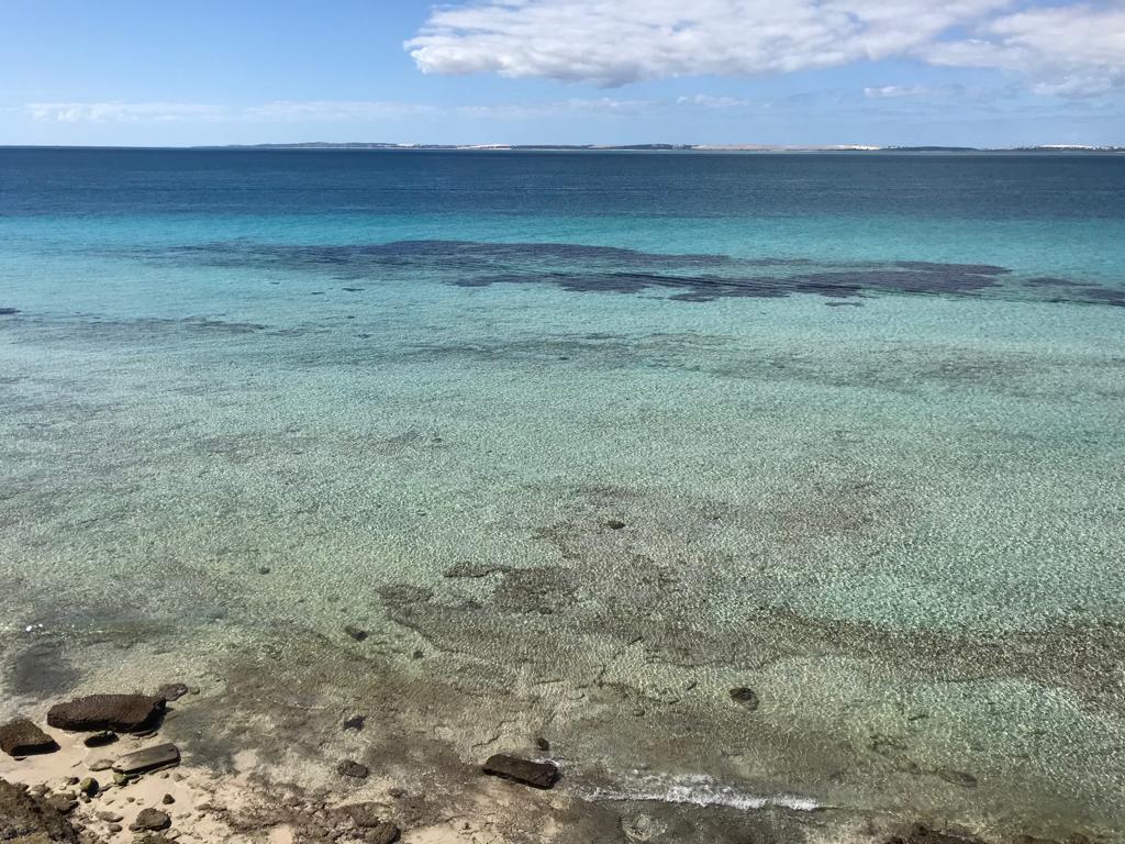 51086c3b-bb36-4128-a76a-6c917c7b8265