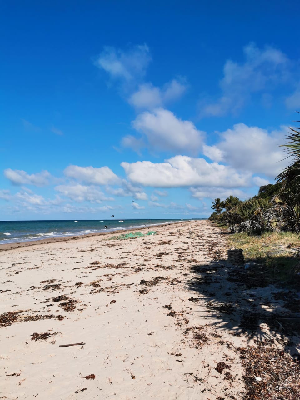 85f70883-ff45-42b5-aae0-256a3ea439bb