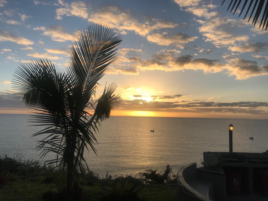 9da3aab5-ceb9-457c-bcad-3b7fa1309fee